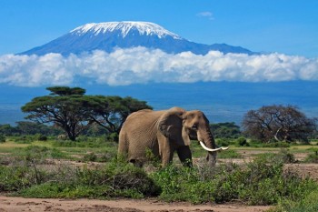 Tanzania expeditions and tours